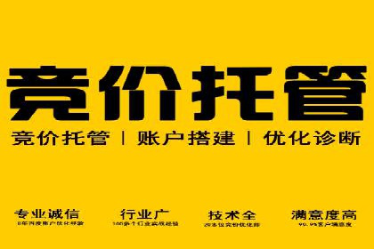 SEM竞价案例深度解析：广告主如何盈利